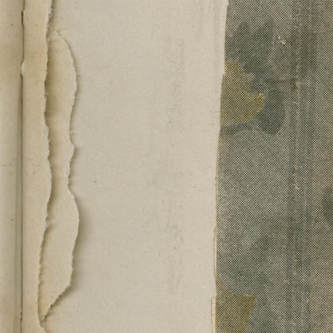 Dove_ti_nascondiCRAME013