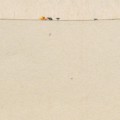 Dove_ti_nascondi_CRAME002